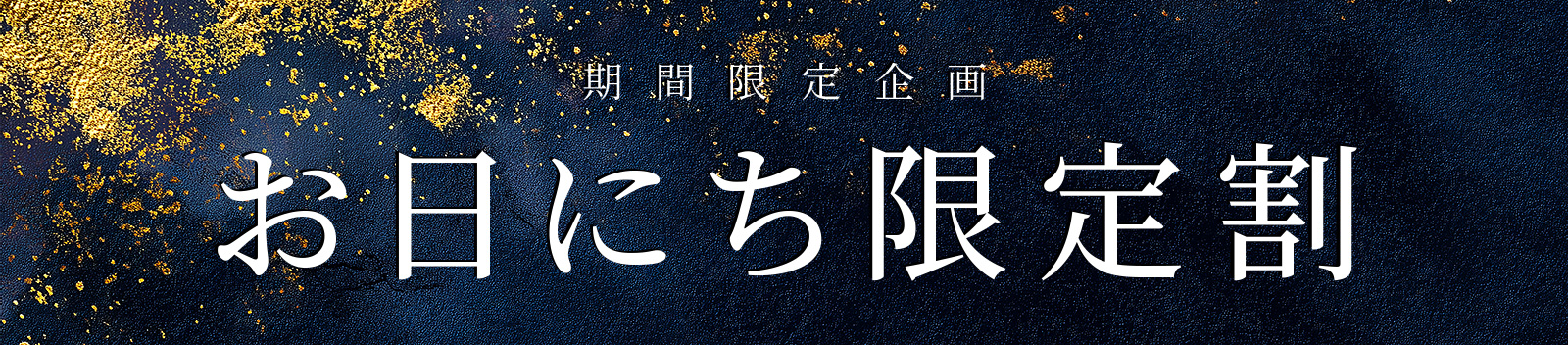 期間限定企画 お日にち限定割